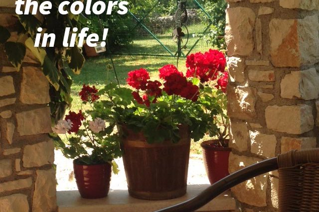 colors (002)