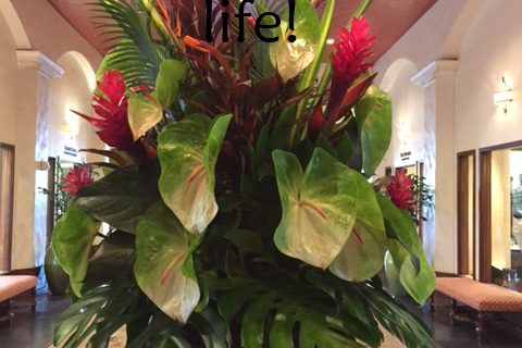 Hawaiian flowers