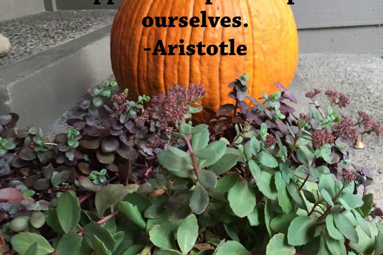 Punpkin and Aristotle
