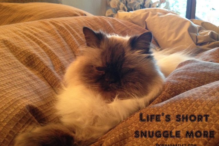 life is short