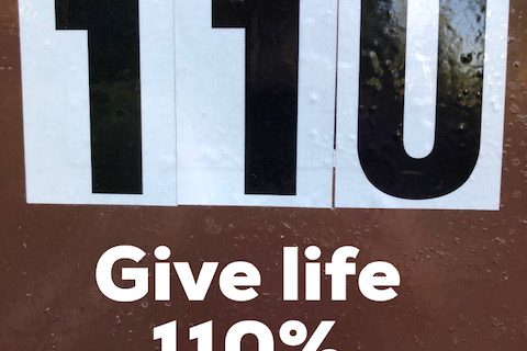 110