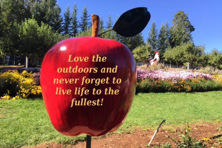apple