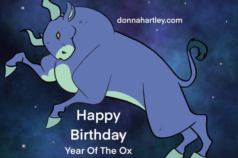 Ox Happy Birthday