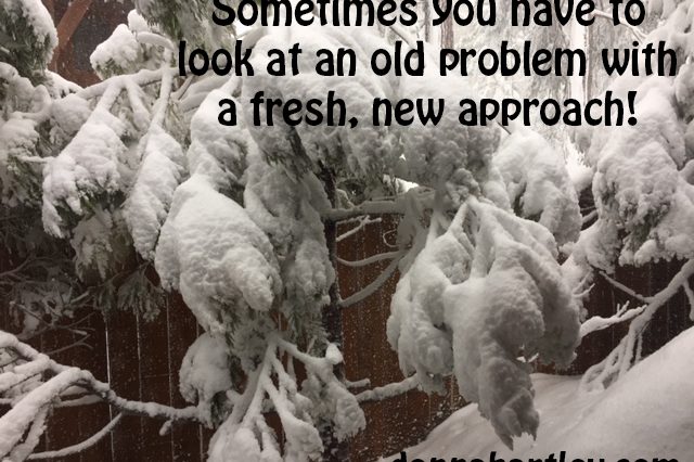 fresh approach