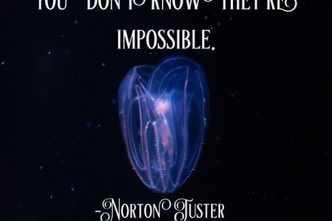 Impossible