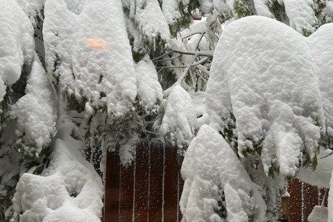 snow window