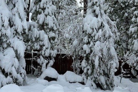 Snow 2