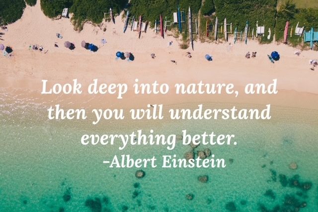 nature