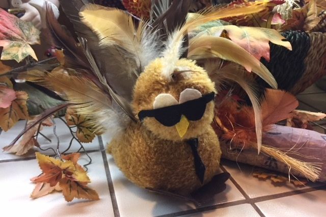 Thanksgiving Secret Agent