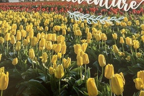 march