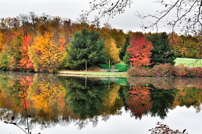 Fall (003)